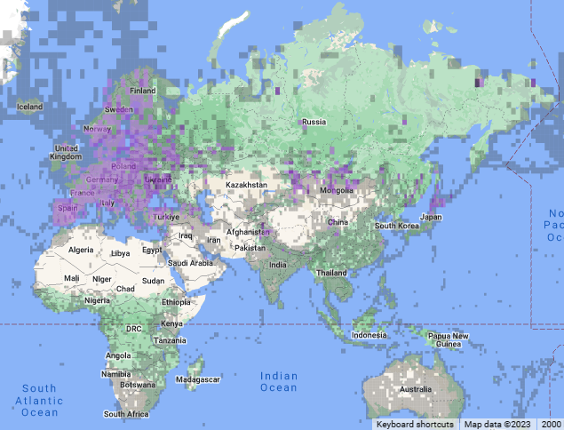 Do Woodpeckers Migrate? What Are The Costs and Benefits?
